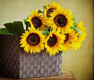 Preview wallpaper sunflowers, shopping, wall, table, leaves