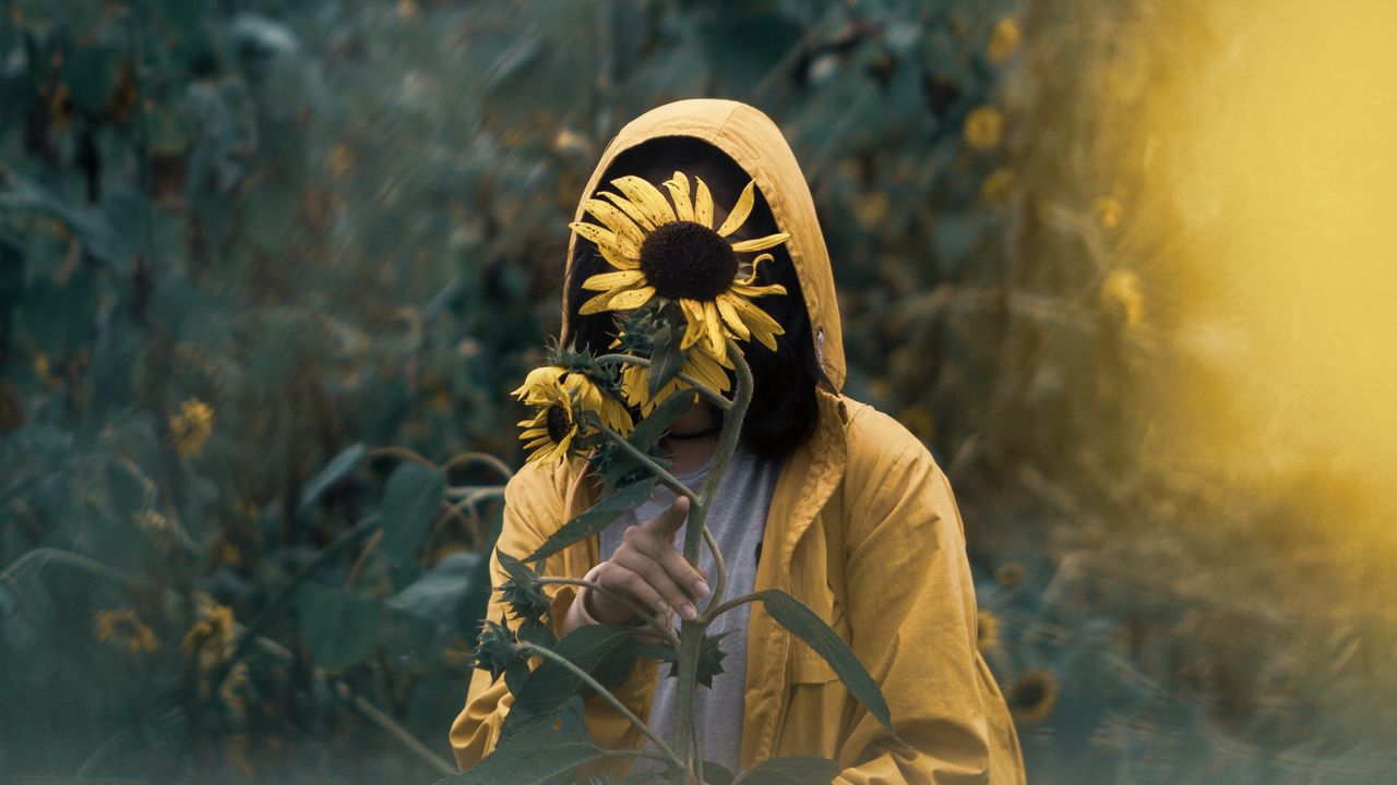 Wallpaper sunflowers, solitude, alone, walk