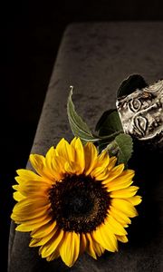 Preview wallpaper sunflowers, vase, fragments