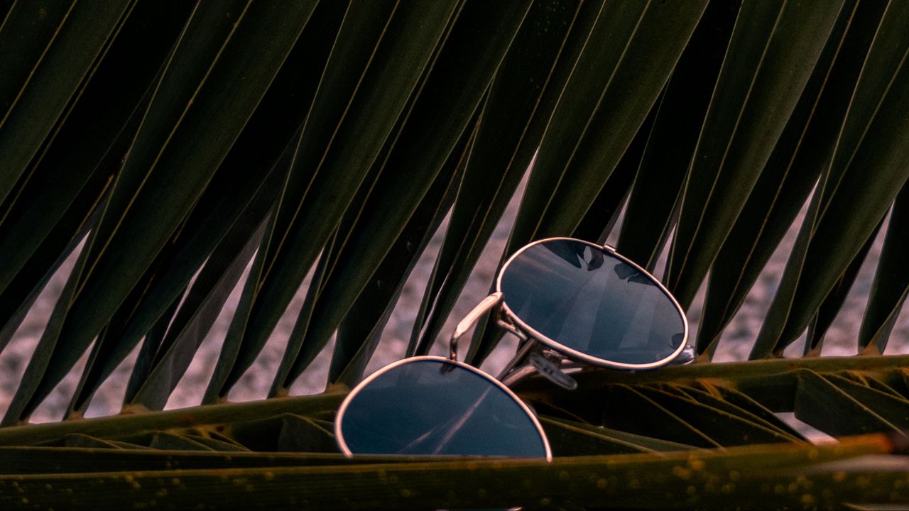 Wallpaper sunglasses, glasses, palm, branches, leaves