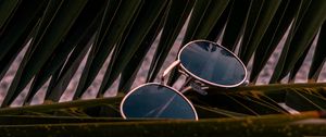 Preview wallpaper sunglasses, glasses, palm, branches, leaves