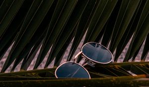 Preview wallpaper sunglasses, glasses, palm, branches, leaves