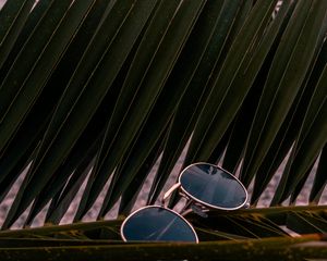 Preview wallpaper sunglasses, glasses, palm, branches, leaves