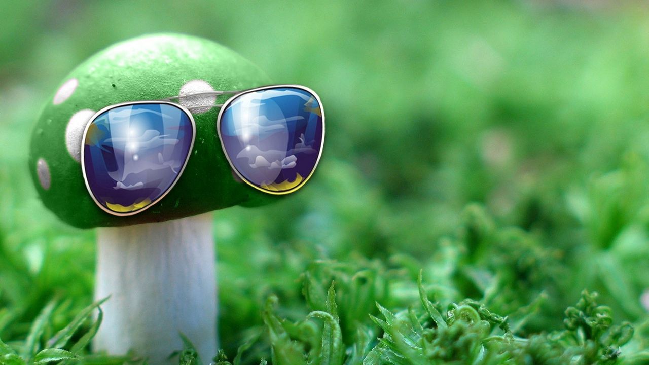 Wallpaper sunglasses, mushroom, idea, creative, grass, unusual