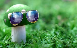 Preview wallpaper sunglasses, mushroom, idea, creative, grass, unusual
