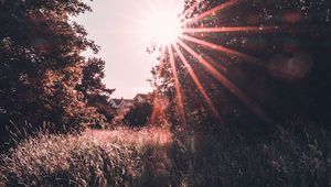 Preview wallpaper sunlight, meadow, grass, rays