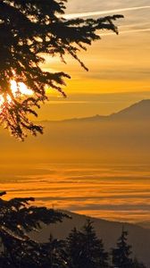 Preview wallpaper sunlight, mountains, fog, branches, tree, coniferous
