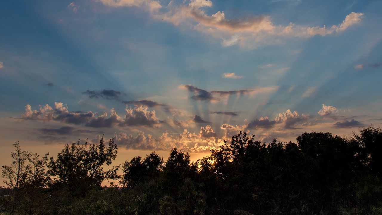 Wallpaper sunrise, dawn, clouds, trees