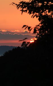 Preview wallpaper sunrise, sun, branches, sky, clouds