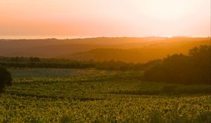 Preview wallpaper sunrise, trees, landscape, field