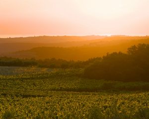 Preview wallpaper sunrise, trees, landscape, field