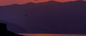 Preview wallpaper sunset, bay, coast, birds, dusk