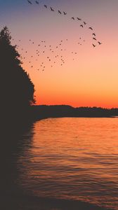 Preview wallpaper sunset, birds, lake, dark