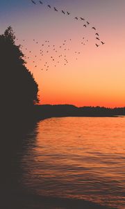 Preview wallpaper sunset, birds, lake, dark