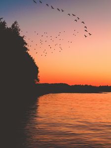 Preview wallpaper sunset, birds, lake, dark