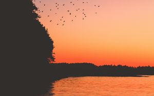 Preview wallpaper sunset, birds, lake, dark