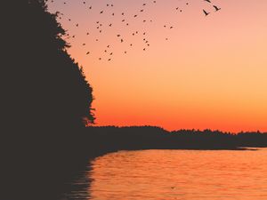 Preview wallpaper sunset, birds, lake, dark