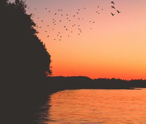Preview wallpaper sunset, birds, lake, dark