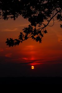 Preview wallpaper sunset, branch, cloud, horizon