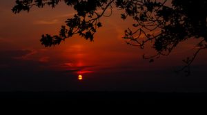 Preview wallpaper sunset, branch, cloud, horizon