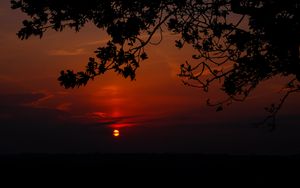 Preview wallpaper sunset, branch, cloud, horizon