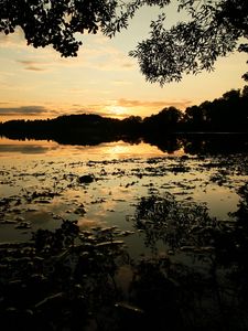 Preview wallpaper sunset, branch, river, bushes