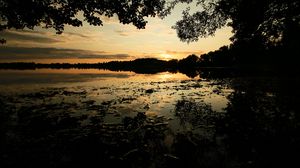 Preview wallpaper sunset, branch, river, bushes