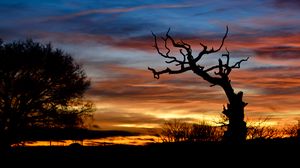 Preview wallpaper sunset, branch, silhouette, clouds