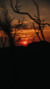 Preview wallpaper sunset, branches, silhouette, sky