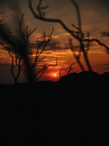 Preview wallpaper sunset, branches, silhouette, sky