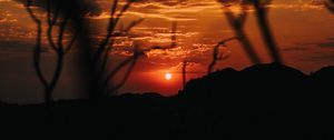 Preview wallpaper sunset, branches, silhouette, sky