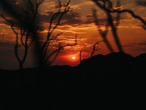 Preview wallpaper sunset, branches, silhouette, sky