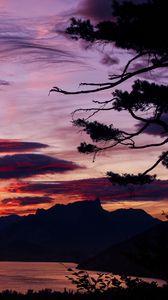 Preview wallpaper sunset, branches, sky, clouds, mountains