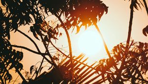 Preview wallpaper sunset, branches, sun, silhouettes, twilight, dark
