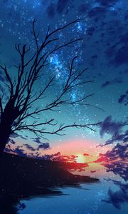 Preview wallpaper sunset, branches, tree, nebula, particles, stars, art
