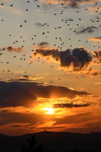 Preview wallpaper sunset, clouds, birds, landscape, dark