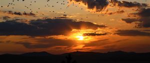 Preview wallpaper sunset, clouds, birds, landscape, dark
