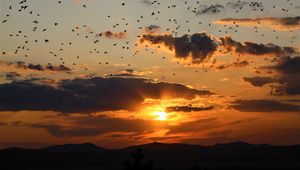 Preview wallpaper sunset, clouds, birds, landscape, dark