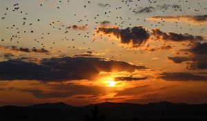 Preview wallpaper sunset, clouds, birds, landscape, dark