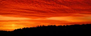 Preview wallpaper sunset, clouds, fiery, forest, twilight, bright