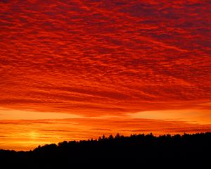 Preview wallpaper sunset, clouds, fiery, forest, twilight, bright