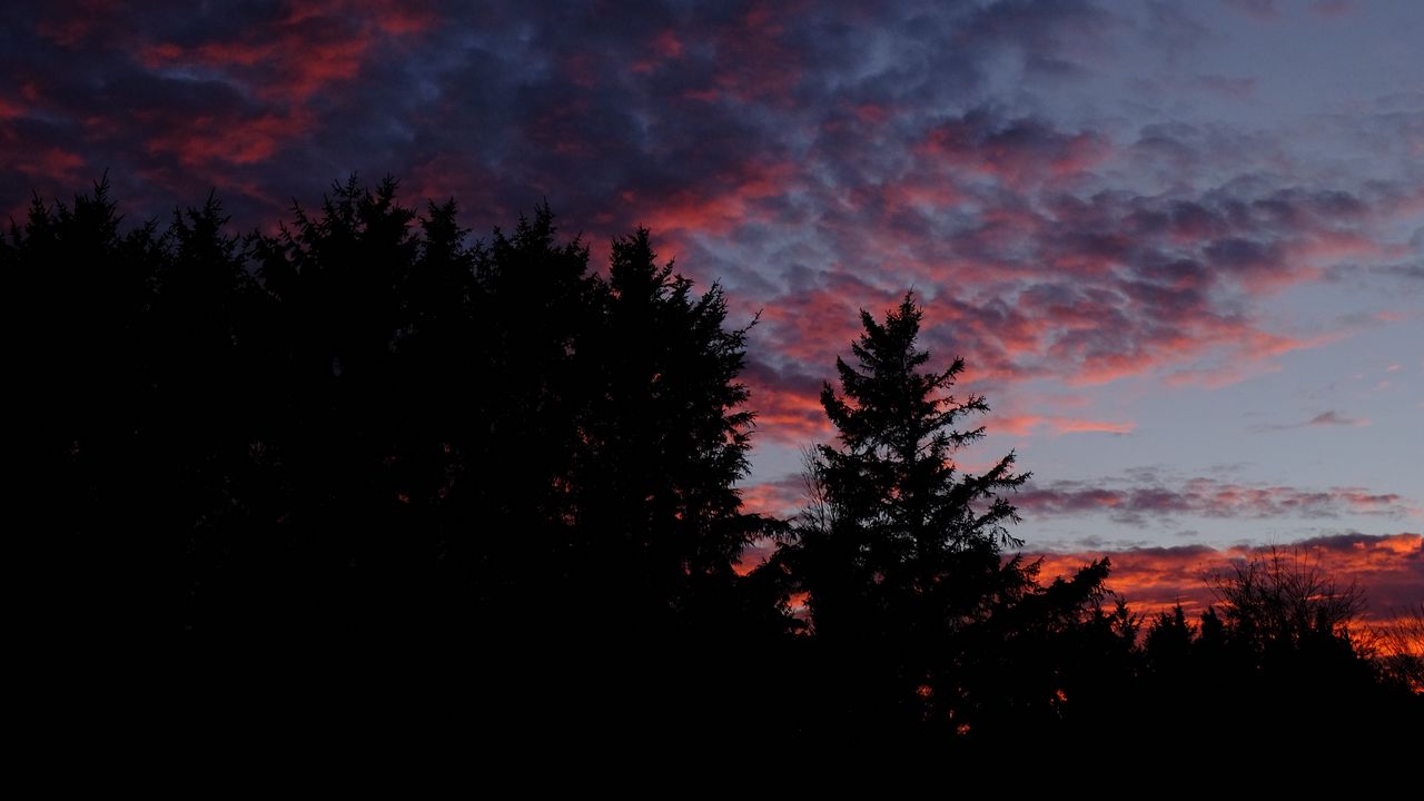 Wallpaper sunset, clouds, night, dark, horizon, sky