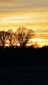 Preview wallpaper sunset, clouds, trees, silhouettes, evening