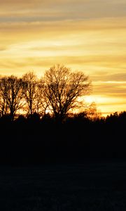 Preview wallpaper sunset, clouds, trees, silhouettes, evening