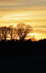 Preview wallpaper sunset, clouds, trees, silhouettes, evening