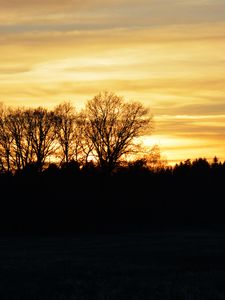 Preview wallpaper sunset, clouds, trees, silhouettes, evening