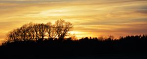 Preview wallpaper sunset, clouds, trees, silhouettes, evening