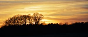 Preview wallpaper sunset, clouds, trees, silhouettes, evening
