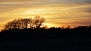 Preview wallpaper sunset, clouds, trees, silhouettes, evening