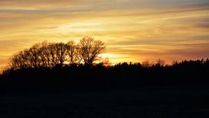 Preview wallpaper sunset, clouds, trees, silhouettes, evening